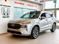 2021 Hyundai Santa Fe Ultimate Calligraphy-3