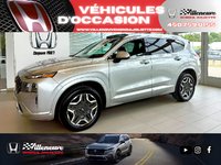 2021 Hyundai Santa Fe Ultimate Calligraphy-0