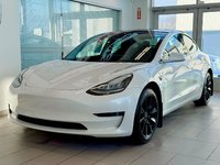 Tesla Model 3 Standard Range Plus 2020-1