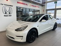 Tesla Model 3 Standard Range Plus 2020-0