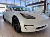 Tesla Model 3 Standard Range Plus 2020-3