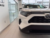 Toyota RAV4 LE 2020-4