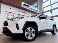 2020 Toyota RAV4 XLE AWD-1