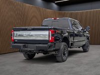 2023 Ford F250 4x4 - Crew Cab Platinum - 160 WB-5