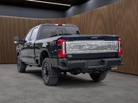 2023 Ford F250 4x4 - Crew Cab Platinum - 160 WB-2