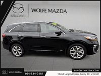 2020 Kia Sorento SX V6-5