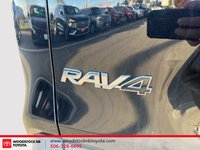 2023 Toyota RAV4 LE-6