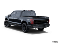 2026 Ford F-150 Platinum-exterior-rear