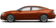 2020 Maxima