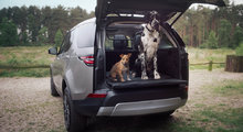 Land Rover lance une gamme d’accessoires pour les animaux