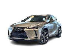 2021 Lexus UXH UX 250h AWD