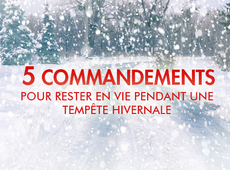 5 COMMANDEMENTS POUR RESTER EN VIE PENDANT UNE TEMPÊTE HIVERNALE