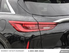 2021 Infiniti QX50 SENSORY TRIM + NO ACCIDENTS