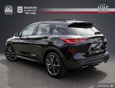 2023 Infiniti QX50 SPORT MODEL // NO ACCIDENTS