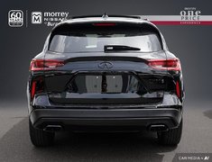 2023 Infiniti QX50 SPORT MODEL // NO ACCIDENTS