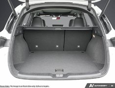 2025 Infiniti QX50 SPORT