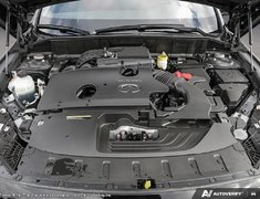 2025 Infiniti QX50 SPORT