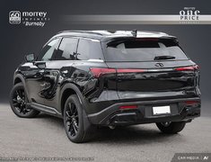 2025 Infiniti QX60 BLACK EDITION