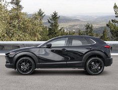 2025 Mazda CX-30 GT Turbo Engine