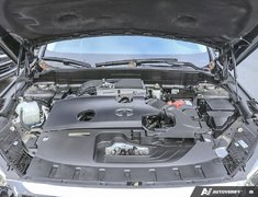 2021 Infiniti QX50 NO ACCIDENTS // LOW KMS