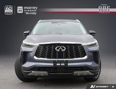 2022 Infiniti QX60 SENSORY // NO ACCIDENTS