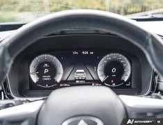 2022 Infiniti QX60 SENSORY // NO ACCIDENTS