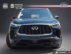2024 Infiniti QX60 LUXE // NO ACCIDENTS