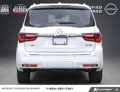 2024 Infiniti QX80 PROACTIVE // NO ACCIDENTS