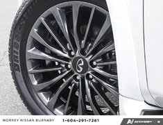 2024 Infiniti QX80 PROACTIVE // NO ACCIDENTS