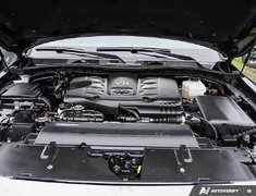 2024 Infiniti QX80 PROACTIVE // 7 PASSENGER