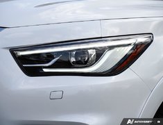 2024 Infiniti QX80 LUXE // ULTRA LOW KMS