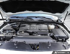 2024 Infiniti QX80 LUXE // ULTRA LOW KMS