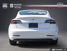 2021 Tesla Model 3 NO ACCIDENTS