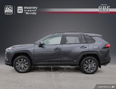 2025 Toyota RAV4 HYBRID XLE PREMIUM