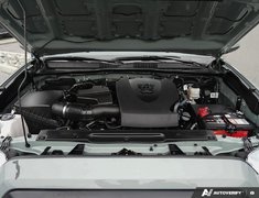 2023 Toyota Tacoma TRAIL EDITION