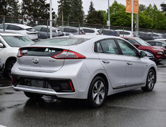 2019 Hyundai Ioniq Electric PREFERRED