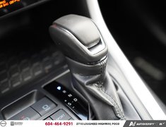 2025 Toyota RAV4 XLE AWD