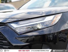 2025 Toyota RAV4 XLE AWD