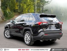2025 Toyota RAV4 XLE AWD