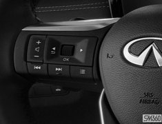 2025 INFINITI QX60 Black Edition