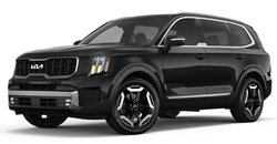 2025 Kia Telluride EX photo-1
