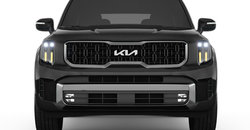 2025 Kia Telluride EX photo-2