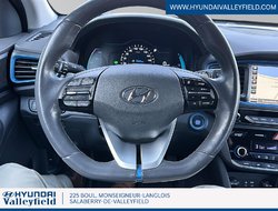 Hyundai Ioniq Electric Plus Preferred  2019