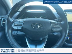 2020 Hyundai Ioniq Electric Preferred