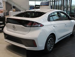 2021 Hyundai Ioniq Electric Preferred
