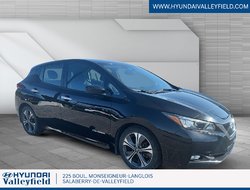 Nissan Leaf SV  2019