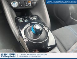 2019 Nissan Leaf SV