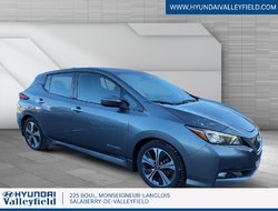 2019 Nissan Leaf SV