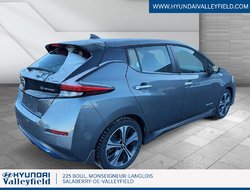 2019 Nissan Leaf SV