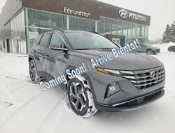 Hyundai Tucson Hybrid Luxury